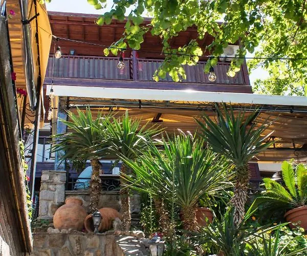 House Diona Pensionat Sozopol