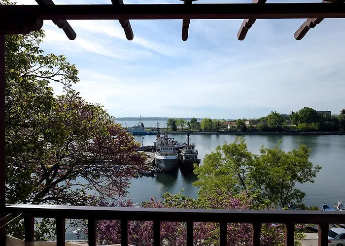 House Diona ゲストハウス 3*